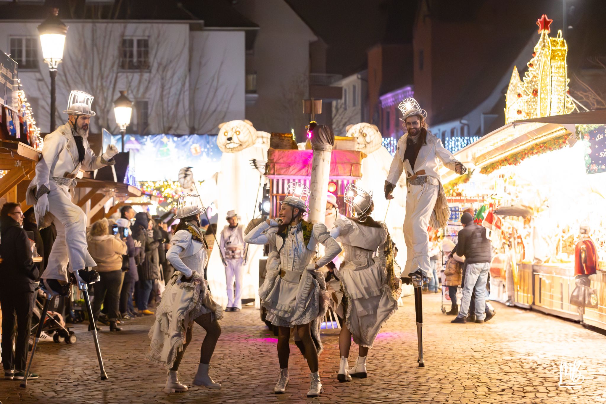 MB2024 CIE REMUE MENAGE(Gueule d'ours) (95 sur 107)